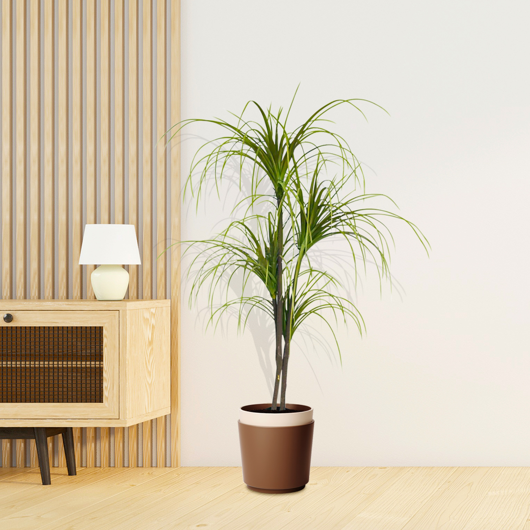 Soga 150Cm Artificial Dracaena Plant Fake Potted, Simulation Tree Fake Plant Home Decor, Home &Amp; Living, Home Decor, Artificial Plants, , ,  - Nz Depot 7