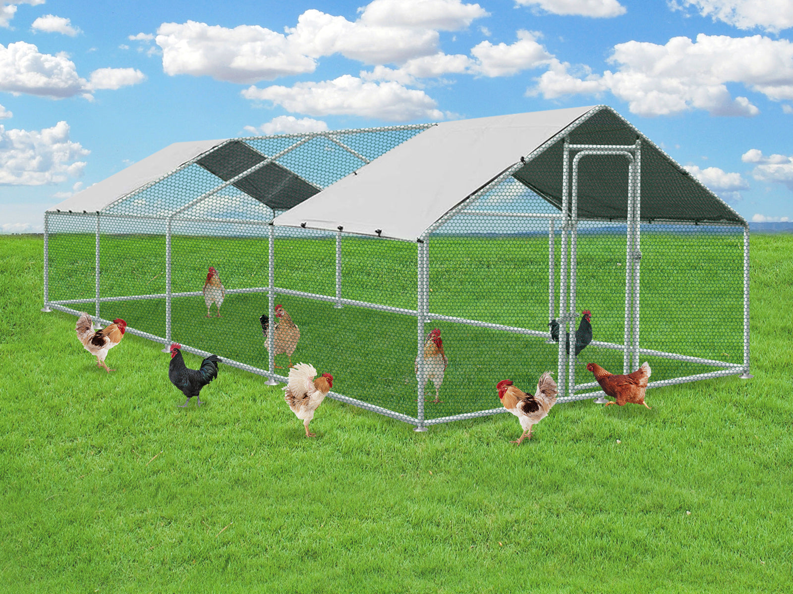 Chicken Coops - Nz Depot