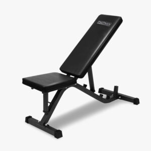 Fid Adjustable Bench