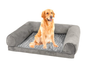 Foam Pet Bed C20 Medium Pr8968 Bedding Nz Depot - Nz Depot