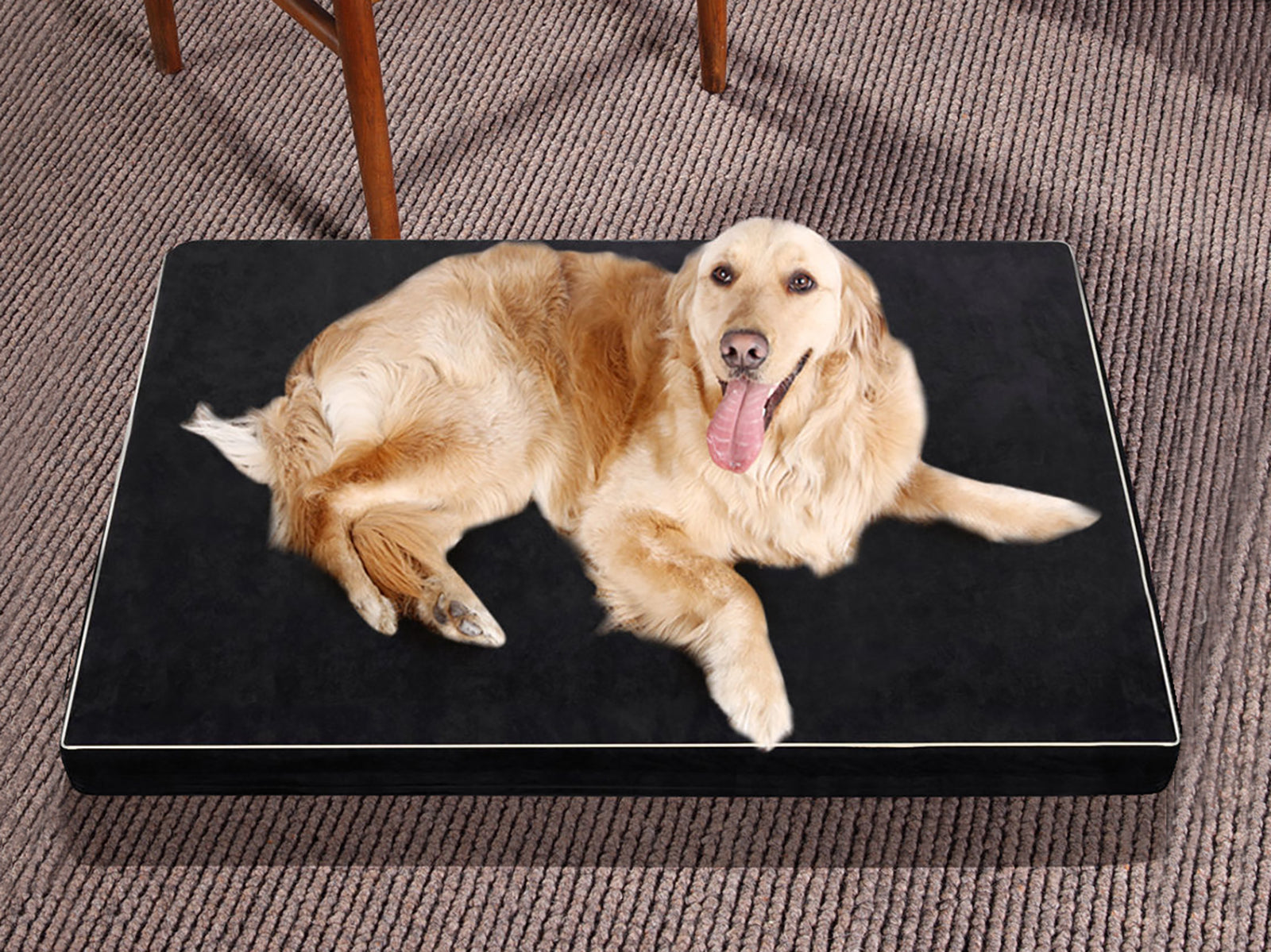 Memfoam Pet Bed A5 Large Pr8964 Bedding Nz Depot 3 - Nz Depot