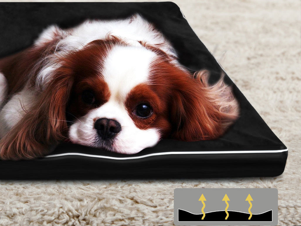 Memfoam Pet Bed A5 Large Pr8964 Bedding Nz Depot 4 - Nz Depot