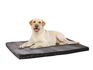 Memfoam Pet Bed D4 Xlarge Pr8971 Bedding Nz Depot - Nz Depot