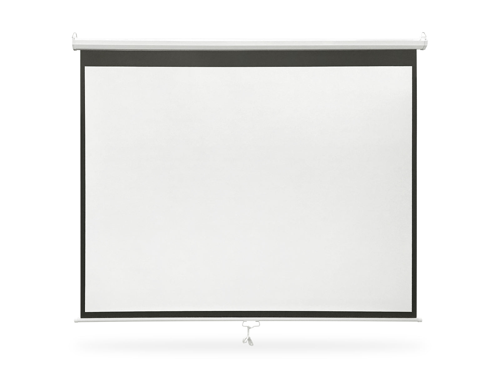 Projector Screen 100&Quot;