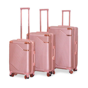 Voyage Luggage Set