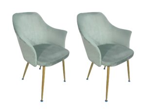 Ds Ceilean Dining Chair X2 Velvet Green Pr65598 Dining Chairs Nz Depot - Nz Depot