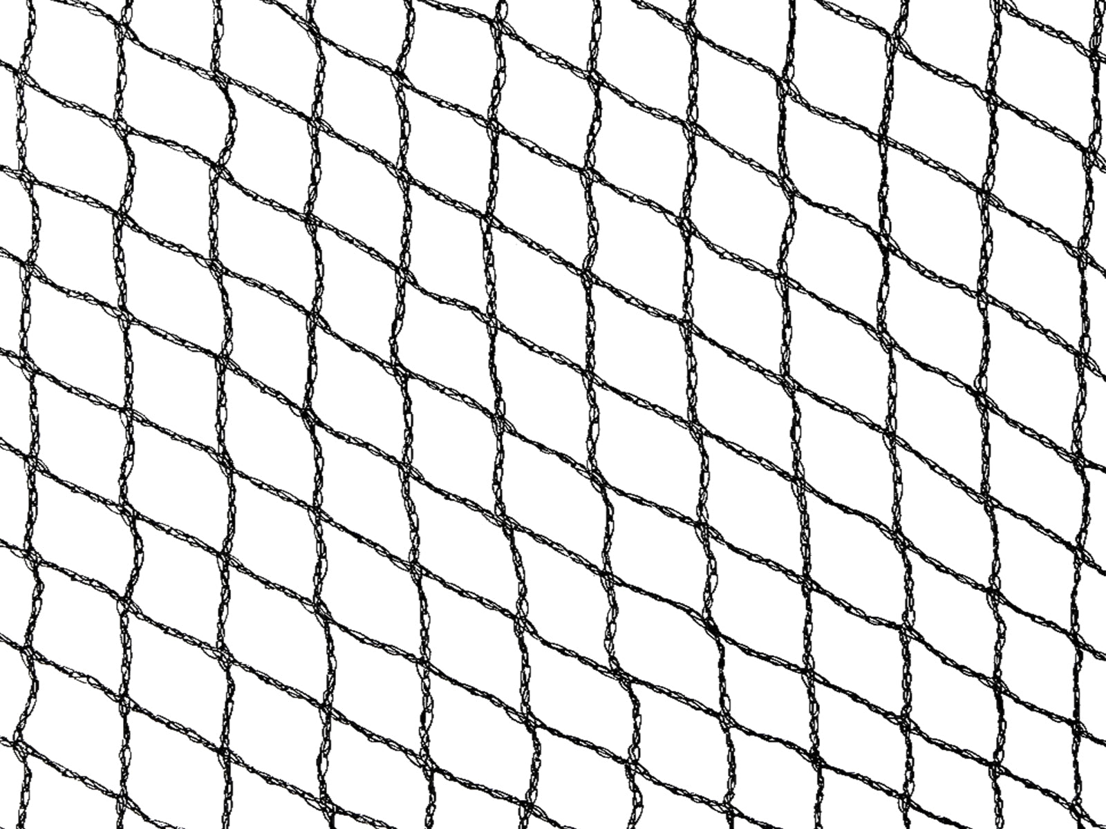 Anti-Bird Netting 10 X 10M