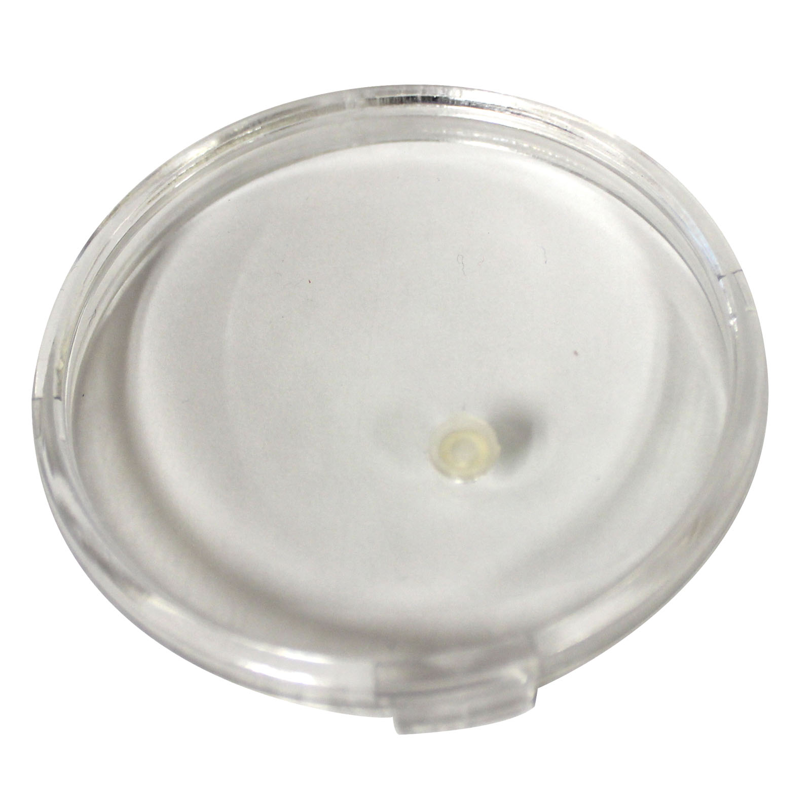 Replacement Gauge Lens -