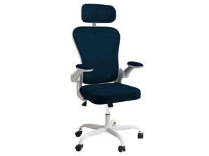 DS Molina Mesh Task Chair WhiteBlue PR72155 Office Chairs NZ DEPOT